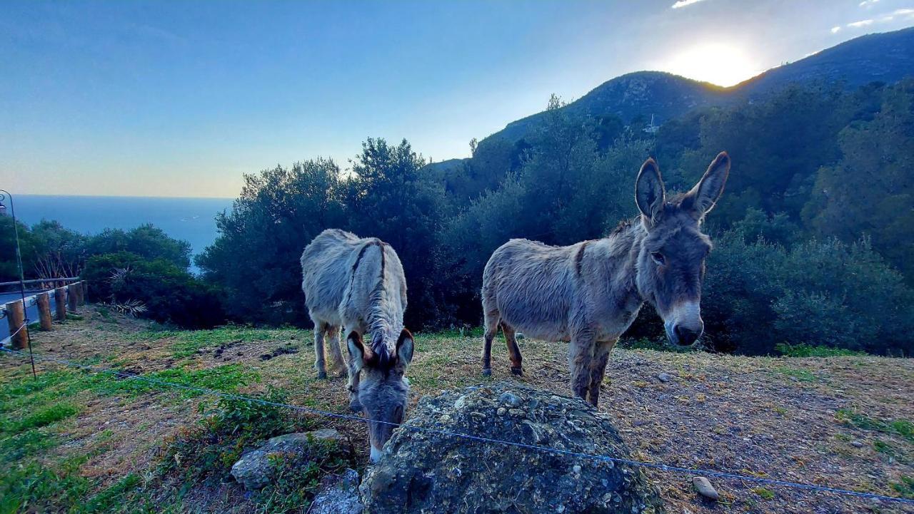 La Bomboniere & Spa Roquebrune-Cap-Martin Bagian luar foto